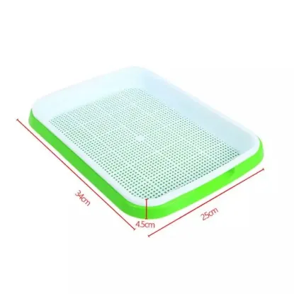 Picture of Seedling tray