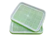 Picture of Seedling tray